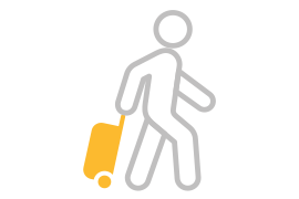 Travel Icon